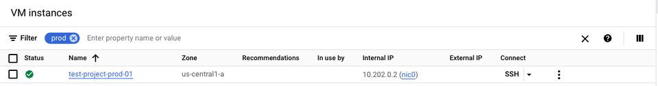 how to verify set up on google cloud platform on VM
